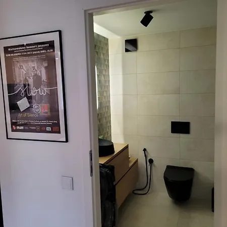 Z Sauna Art شقة *