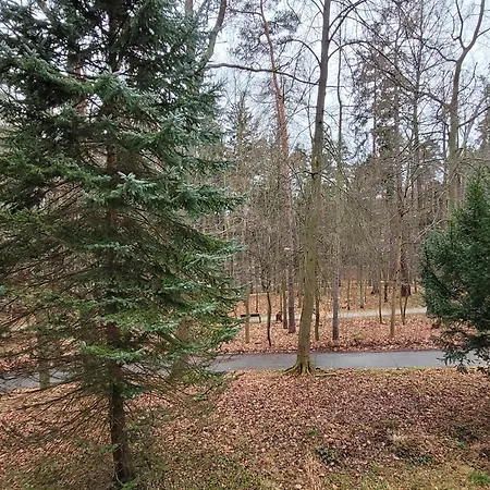 Z Sauną Polanica-zdrój Apartament *