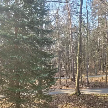 Z Sauną Polanica-zdrój * Polanica-Zdrój