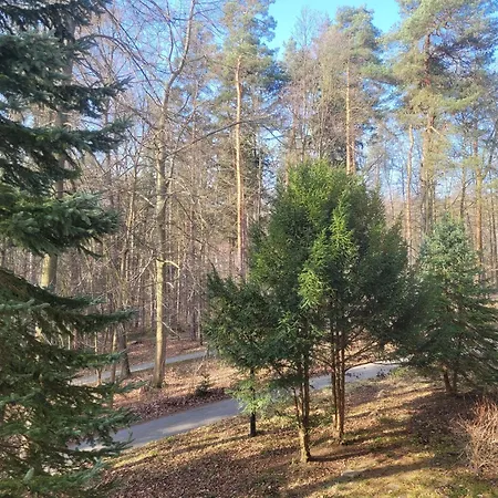 Z Sauną Polanica-zdrój Apartament *