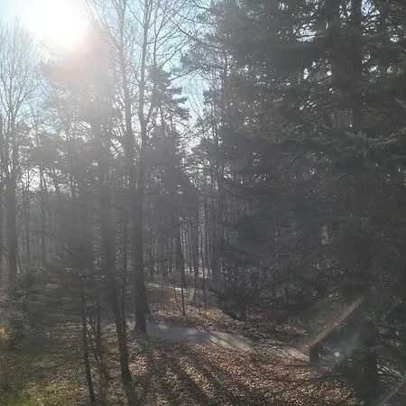 شقة Z Sauna Art *