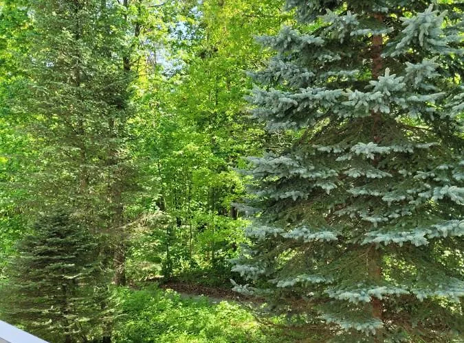 Apartmán Z Sauna Art