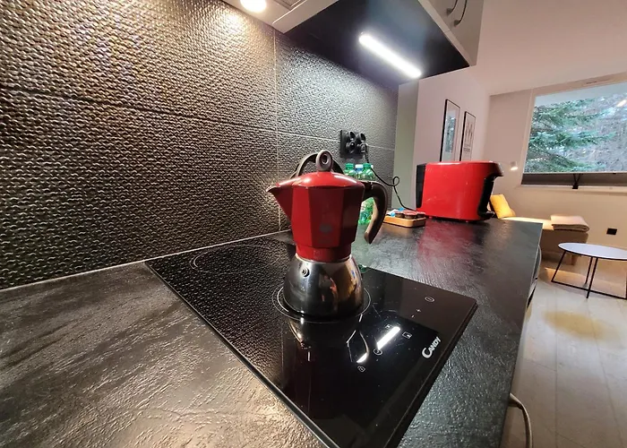 Z Sauna Art * Polanica-Zdrój