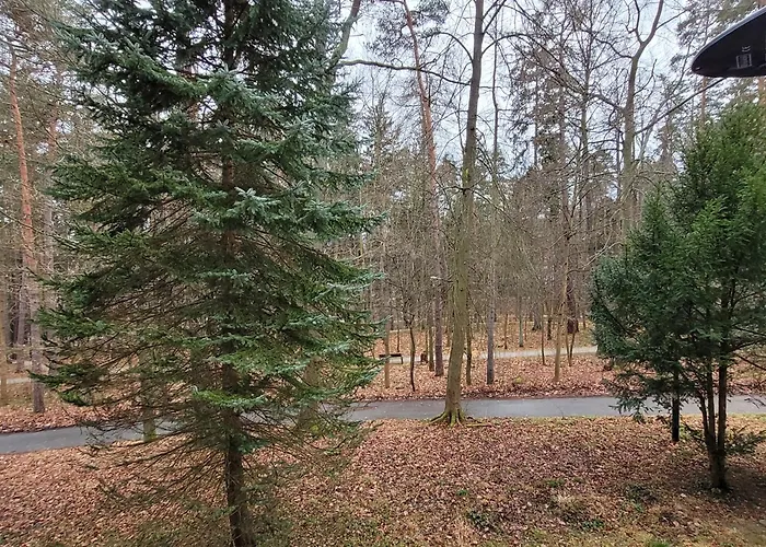 Z Sauna Art Apartmán *