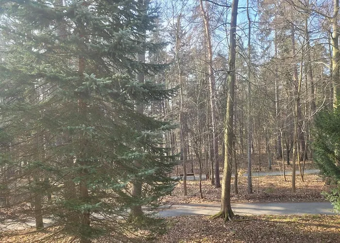 Z Sauna Art * Polanica-Zdrój