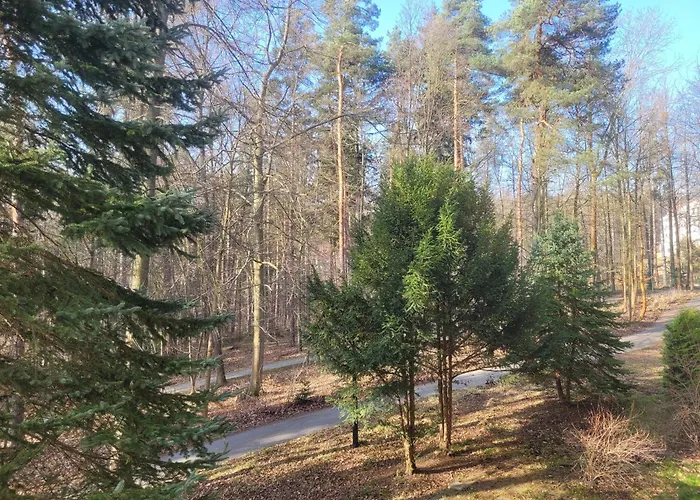 Z Sauna Art Apartmán *