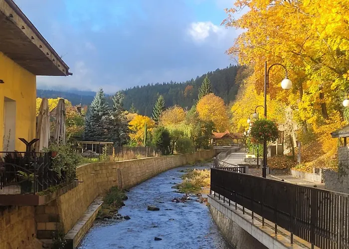 Z Sauna Art Apartmán